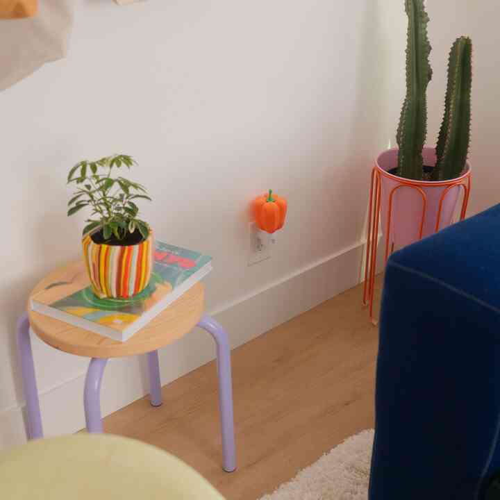 Natural wood tone entryway corner featuring a stool with a colorful plant pot and cactus, creating a cozy atmosphere