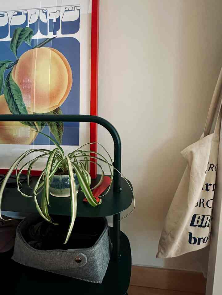 Natural-toned space featuring beige walls, dark green shelf with a plant and storage baskets