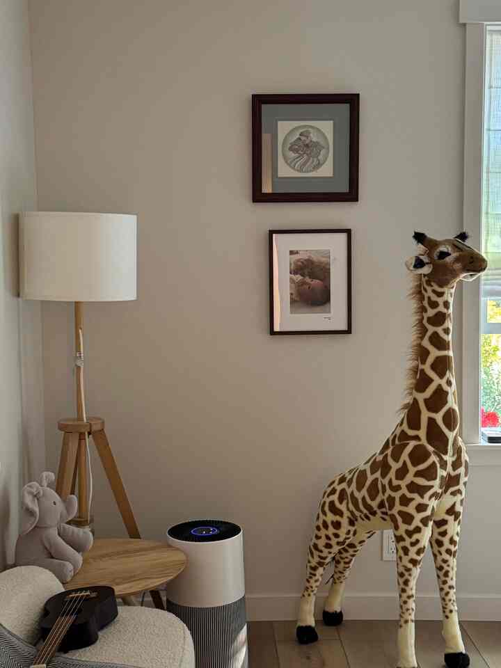 Adding a new giraff friend to my baby’s room #kidsroom #toy #nursery #nurserydecoration 