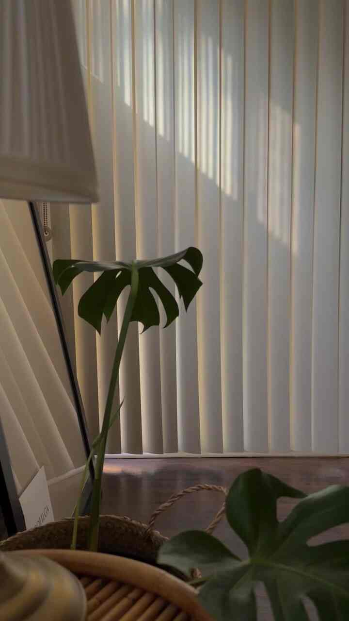 Good morning vibes
#morningvibes #bedroomdecor #simpledecor
#ikea