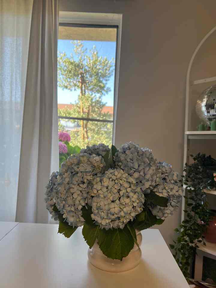 🌿 Fresh hydrangeas add the softest touch of color. simple details that make the space feel alive

#MySpaceMyStyle
#HomeWithPersonality #howyouhome #houseinspo #roominspo