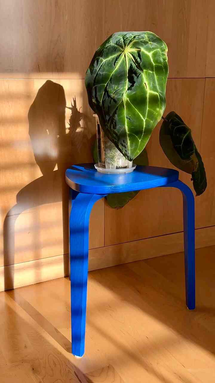 💙🩵
Always on my way to collect blue items 
Sending your recommendations on my wayyyy
#myspacemystyle #howyouhome #houseinspo #roominspo #homewithpersonality #bluetheme #livingroom #homedecoidea #homedecostrategy