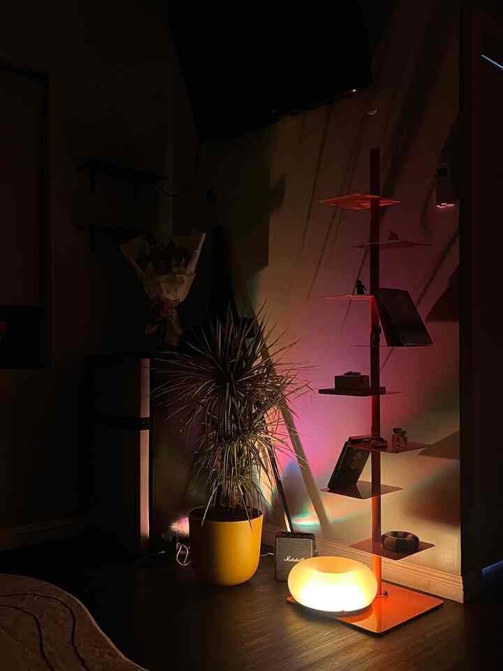 new plant 🪴
#orange #plant #studioapartment #lamp #bookshelf 