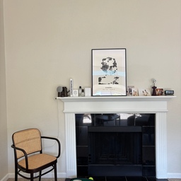 Seattle is already getting that chilly fall feeling.
Time to clean the fireplace.
#fireplace #fall #tonchair #livingroom #frame #frameinterior #blacknwhite