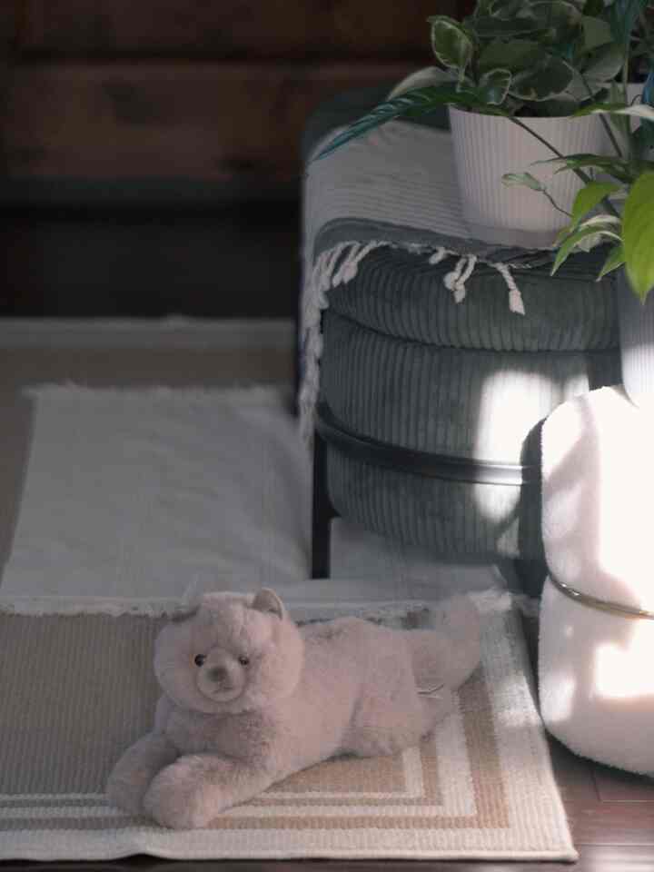 This little stuffed cat adds a playful charm that makes our space truly a family home. 💛

#myspacemystyle #homewithpersonality #howyouhome #houseinspo #roomsinspo #entrance #kids #stuffedanimal #bench #cozycorner