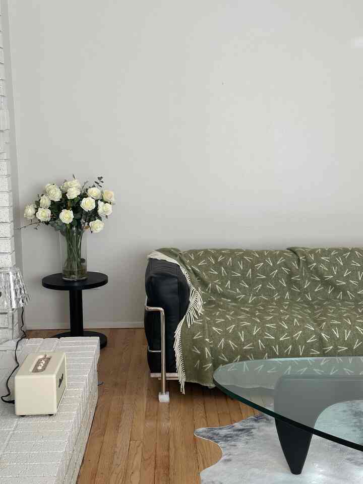 A cozy living room with white walls and natural wood flooring featuring a black sofa draped with a green patterned throw and a glass coffee table
