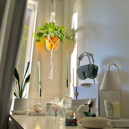 Soft morning light & calm weekend mood
Plants, sunlight, and little moments of peace✨
Slow mornings hit different 💚
#OhouseAmbassador #WeekendVibes #CalmCorner #BedroomDecor #MorningLight #HomeStyling #PlantLovers #candles

