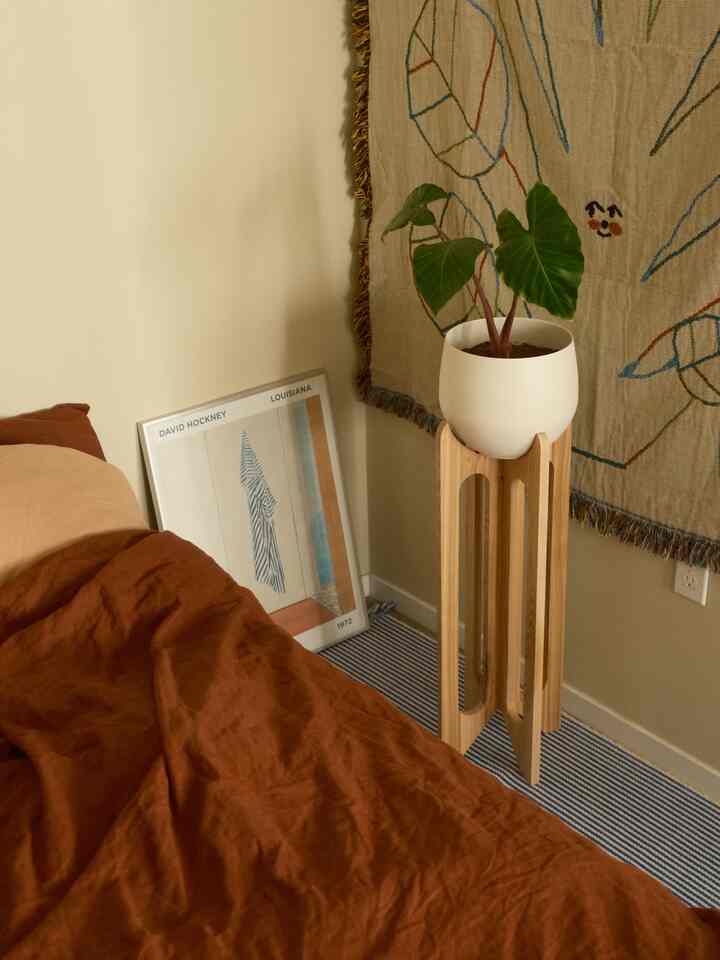 Cozy bedroom corner featuring brown bedding and blue striped rug, with natural wood plant stand and green leafy plant