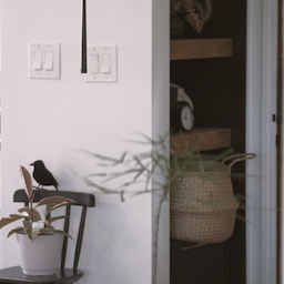 AGAM chair turned spooky plant stand — just add a crow and a floating candle! 🌿🕯️
#halloweendecor #halloweenvibes #spookyseason #fallfun #homefortheholidays #candles #floatingcandle #fallvibes #entrance