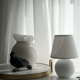 Crow, DIY mini lamp, DIY tissue holder and soft sunlight — spooky but cozy perfection. ☀️🖤
#halloweendecor #halloweenvibes #spookyseason #fallfun #homefortheholidays #DIY #fallvibes #blackandwhite
