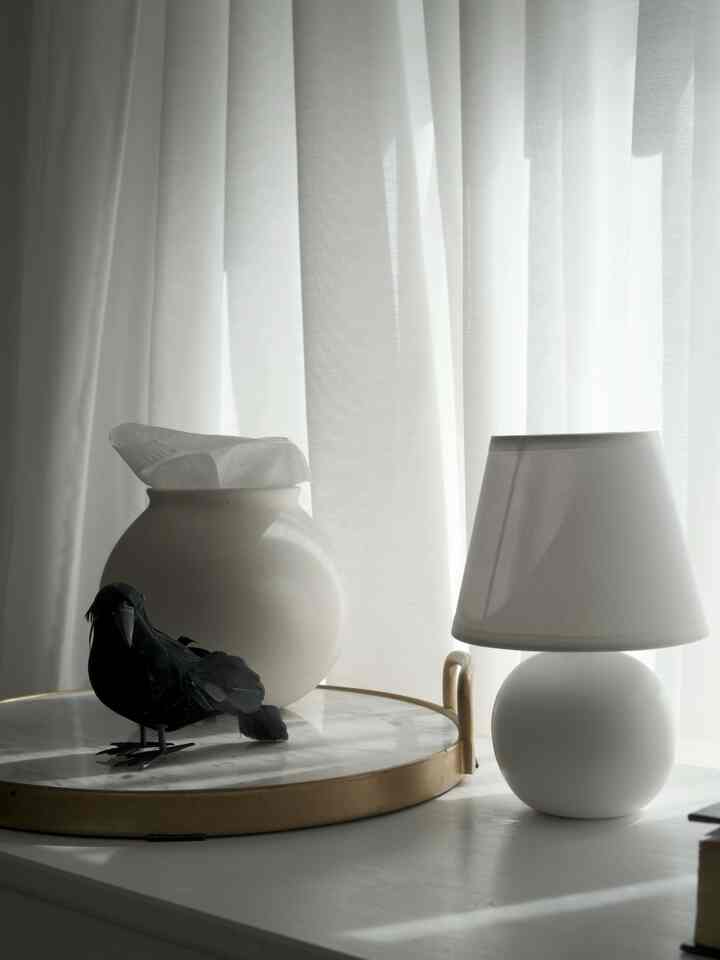 Crow, DIY mini lamp, DIY tissue holder and soft sunlight — spooky but cozy perfection. ☀️🖤
#halloweendecor #halloweenvibes #spookyseason #fallfun #homefortheholidays #DIY #fallvibes #blackandwhite
