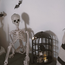 Tried a simple bench setup with a skull, bats, candle, spiders and birdcage. 💀🕯️
#halloweendecor #halloweenvibes #spookyseason #fallfun #homefortheholidays