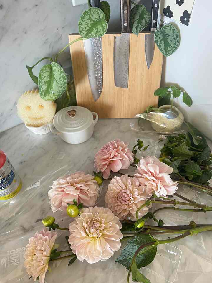 Nothing a $5 Trader Joe’s flower can’t fix😌
#ohouse #homedecor #cozyhome #kitchen
