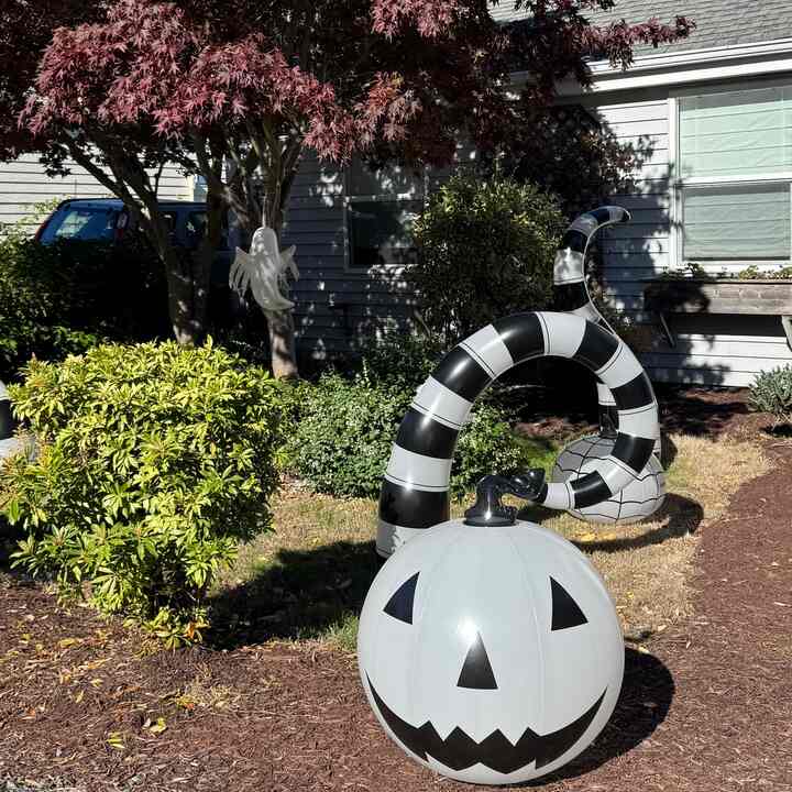Monochrome mood for spooky season 🖤🤍🎃
#halloweenprops #halloweenvibes #spookyseason #fallfun