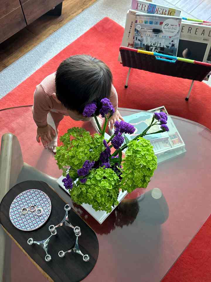 👦🏻💜💚

#livingroominterior #coffeetable #noguchi #tabledecor #flowerinterior #colorfulhome #flowerarrangement 