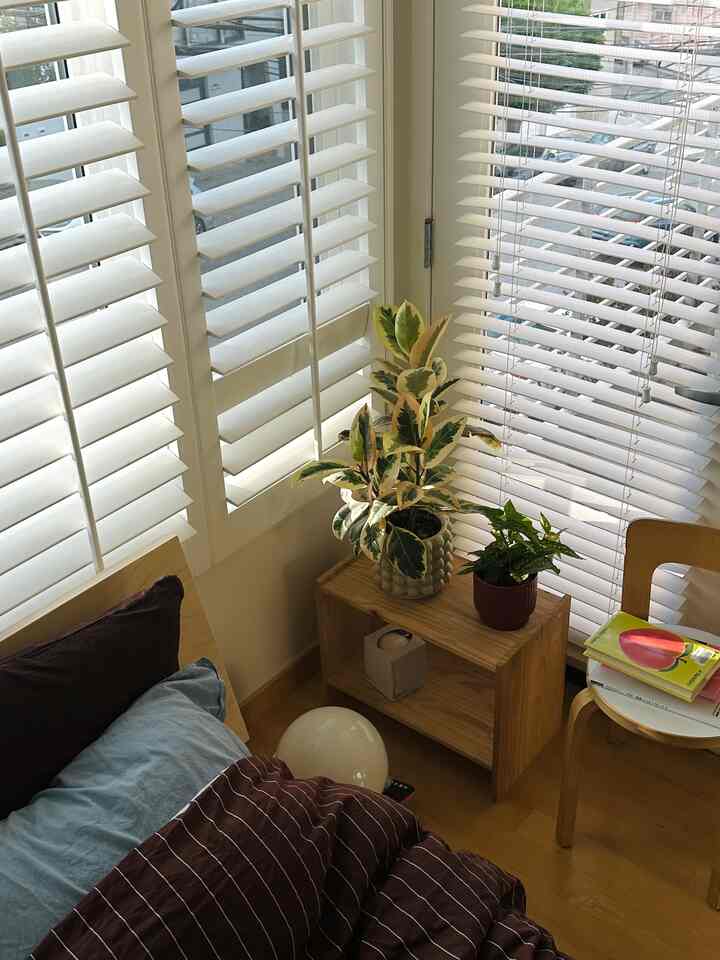 Bedroom with white blinds and wood tone furniture, featuring natural colors and plants in a simple cozy setting
