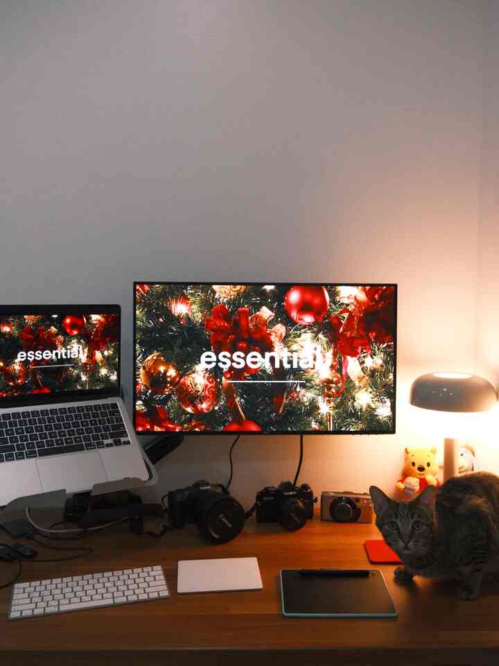 Natural-toned home office with warm lighting and a cat, featuring dual monitors and a laptop in a simple workspace