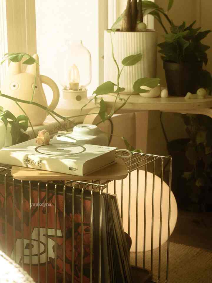 Natural beige and wood toned living room featuring shelves, table lamp, and plants creating a warm and cozy atmosphere