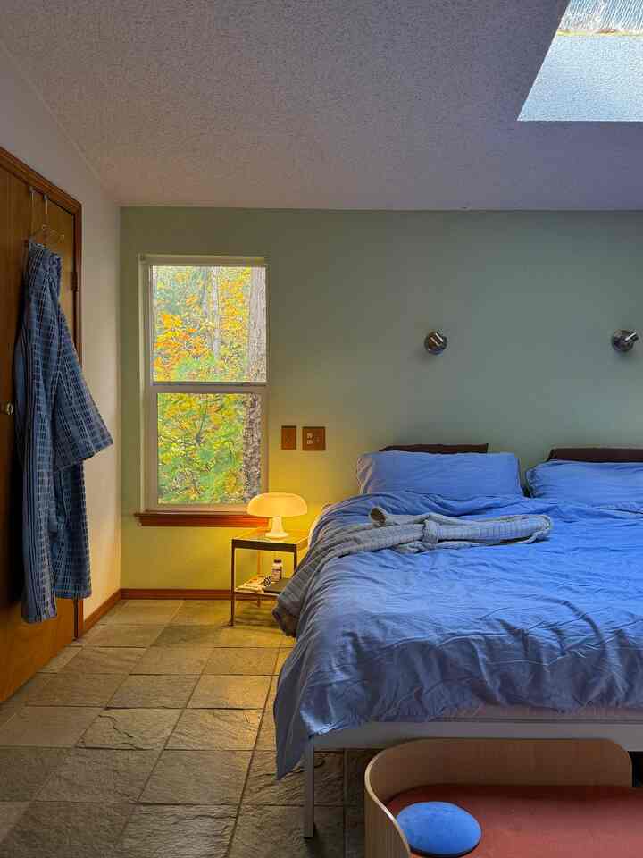 Bright and wide bedroom with soft blue bedding and warm table lamp lighting, featuring golden fall leaves visible outside the window creating a calm atmosphere