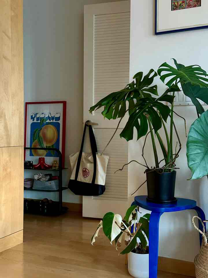 Entrance area with wood-tone flooring and blue stool holding plants, featuring open shelving and framed art in a cozy setting