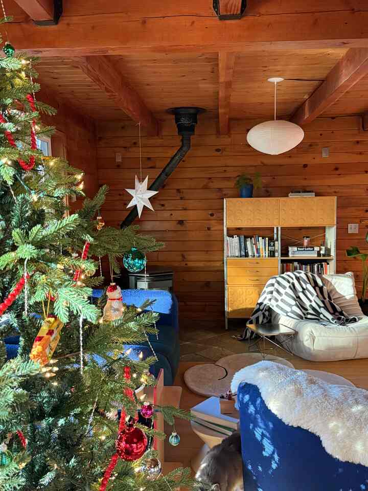 Warm winter light settling softly around the cabin.


#cozyhome #wintervibes #seattlecabin