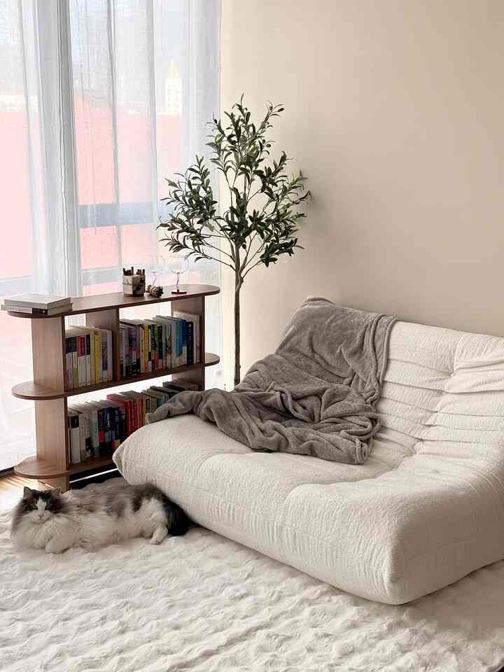 Soft white-toned living room featuring a white loveseat, wooden shelf, a cat, and a plant creating a cozy atmosphere