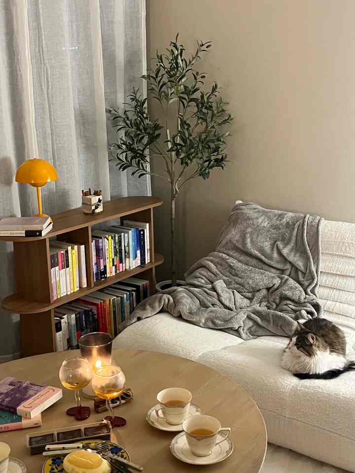 Tagged posts featuring White Linen Curtains 1