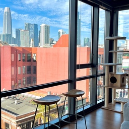 North-facing light has its own kind of calm ☁️✨
This little window bar has become my favorite spot during the day — quiet, soft, and never too bright.
The natural light hits differently here, making the wood stool feel warm and the whole space a little more serene.
It’s where I read, sip something warm, or just watch the city move slowly outside.
Sometimes the simplest corners bring the most peace.
#windowaesthetic #cozycorners #neutralhome #minimaldecor #northerexposure #softlight #homeaesthetic #calmspaces #barstoolstyle #interiorvibes