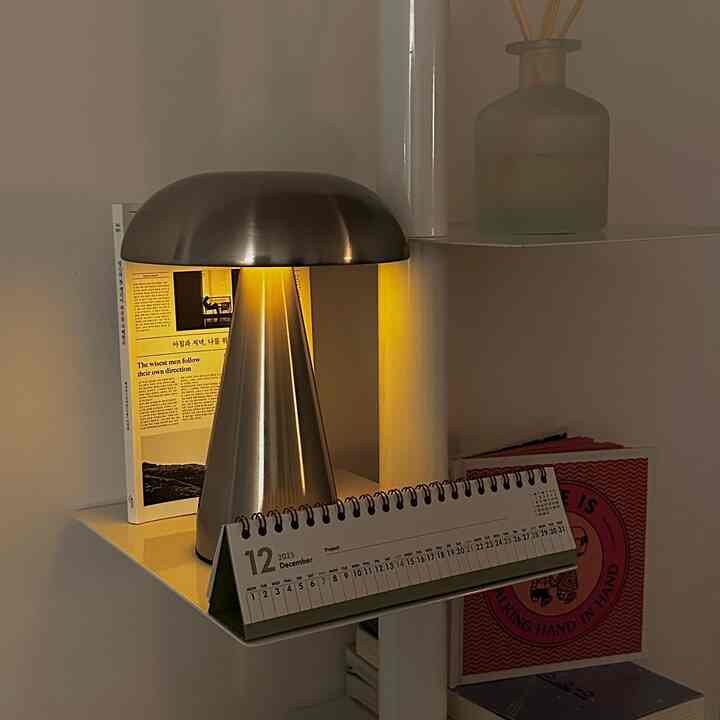 Cute silver mushroom
on my bookshelf vibes 🍄
#livingroomdecor #homedecor #mushroomlamp #bookdecor #bookshlefdecor #lampdecor