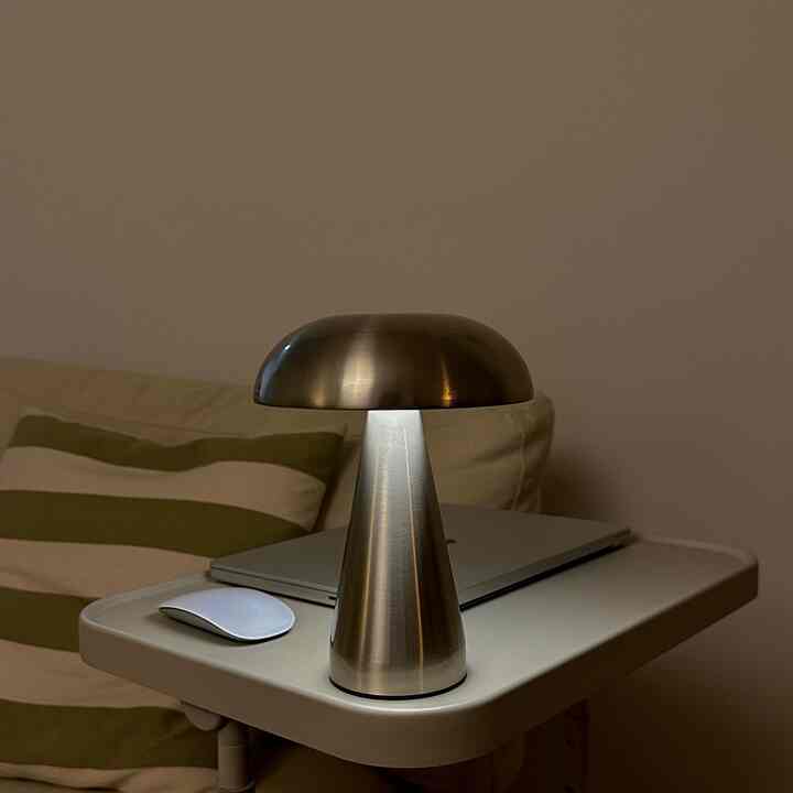 Silver mushroom on the desk vibes

#livingroomdecor #homedecor #homeinterior #mushroomlamp #lampdecor