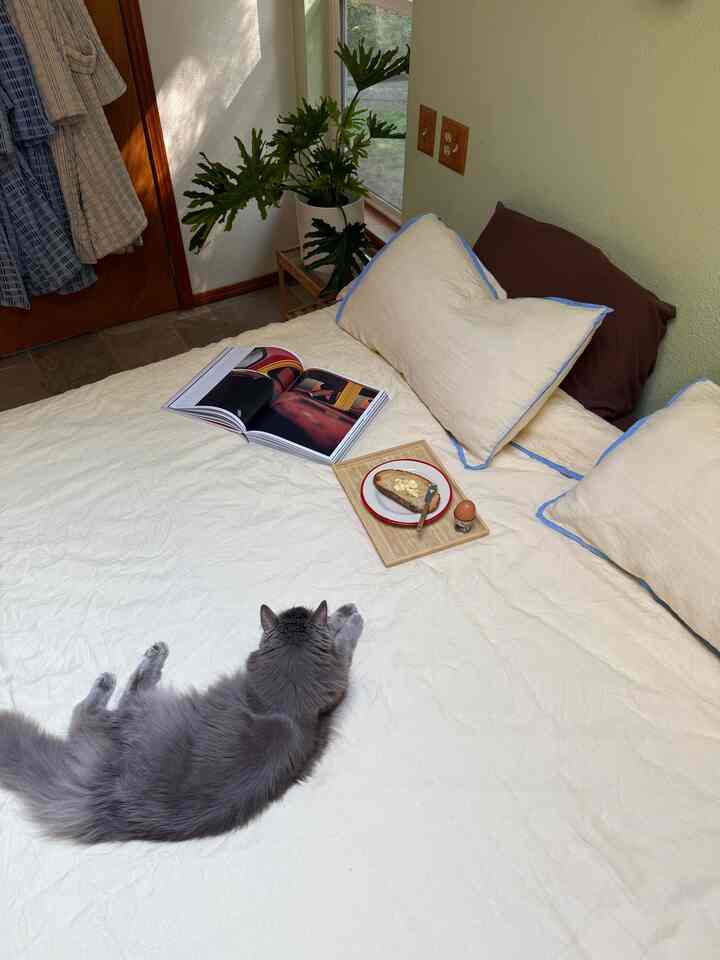 Soft beige-toned bedroom featuring a butter-colored bedding set on bed with green plant by window, creating a cozy atmosphere