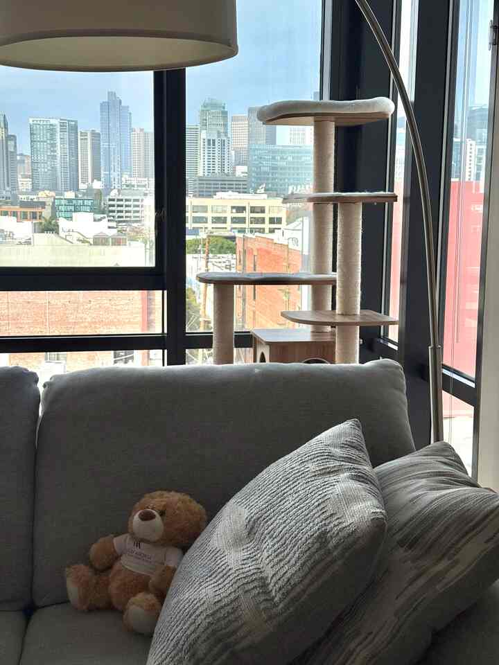 Some days the skyline steals the show,
but today my cozy corner wins. 🤍✨

#cityview #windowaesthetic #viewfromhome #cozyviews #homeskyline #apartmentview #urbanliving #neutralhome #cozycorners #sofaesthetic #homestyling