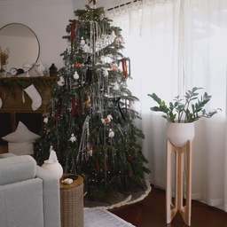 The centerpiece of our holiday home, our Christmas tree, brings a magical 'December Glow' to the entire living room. Every twinkling light and shimmering tinsel makes gathering here feel like a true holiday sanctuary.
#OhouseHoliday #OhouseGather #OhouseGlow #CozyHome #HomeForTheHolidays #ChristmasTree #DecemberGlow #livingroom #winterdecor #realchristmastree 