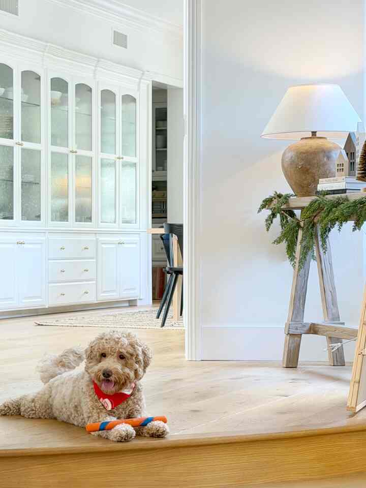 Bright white and natural wood tone entrance and living room featuring Christmas garland and a dog in a cozy setting