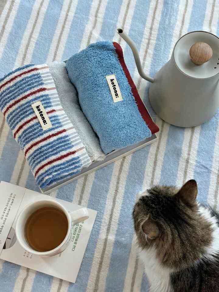 Winter comforts, right where they belong ☕️

A blue stripe bedside rug grounding the space,
rolled Kotona towels ready for slow mornings,
a warm mug of tea, and the gentle weight of a quiet moment.

Some corners don’t need much —
just softness, warmth, and someone who knows it’s the best spot in the house.

#OhouseRug
#OhouseCozy #OhouseGlow #OhouseStyling
#winterathome #cozyrituals #slowliving
#bedsidecorner #calmhome #softtextures