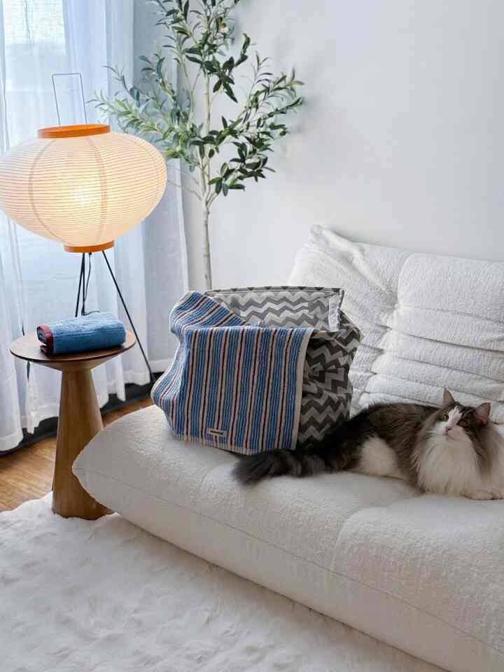 Tagged posts featuring Kotona Color Collection Premium Cotton Towels 3