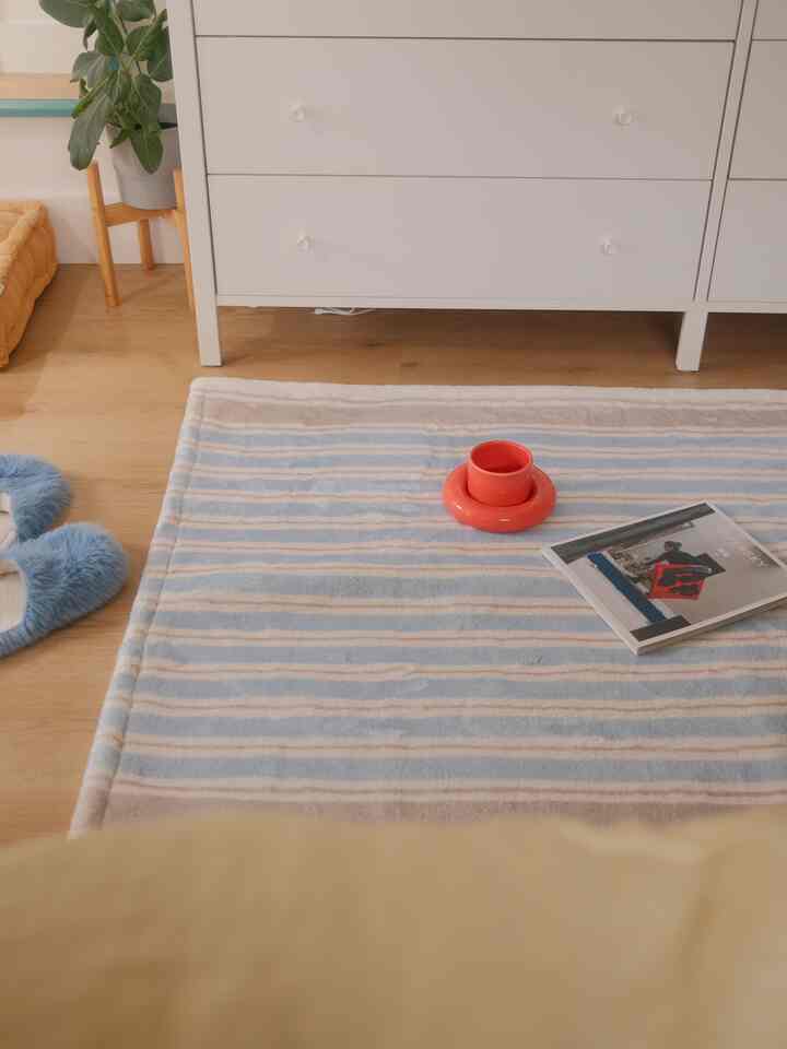 Natural wood tone flooring with white dresser and pastel blue striped rug featuring red cup and magazine in a clean setting