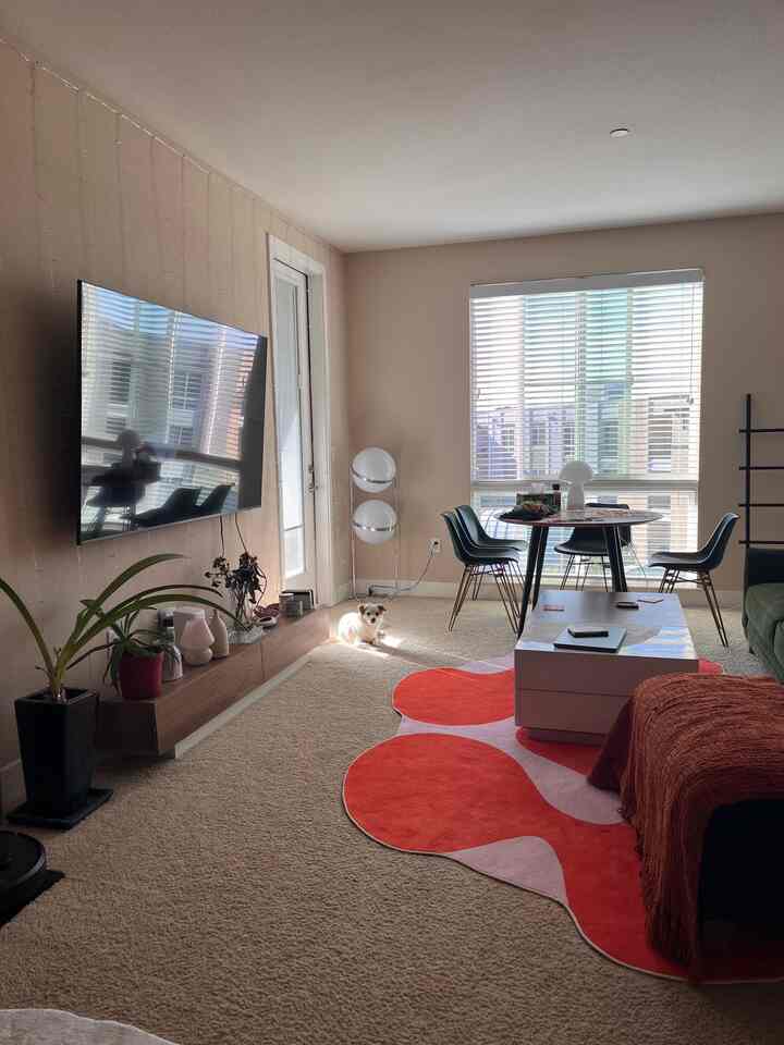 Beige and white toned living room featuring red patterned rug, green sofa, and a small dog sitting in the center, creating a cozy atmosphere