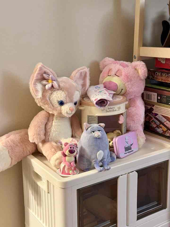 A little corner for my soft spot 💗
Pink things that make me smile.

#homeaesthetic #neutralhome
#cozycorners #homestyling #livedinhome
#dailyritual #smallspaces #designinspo