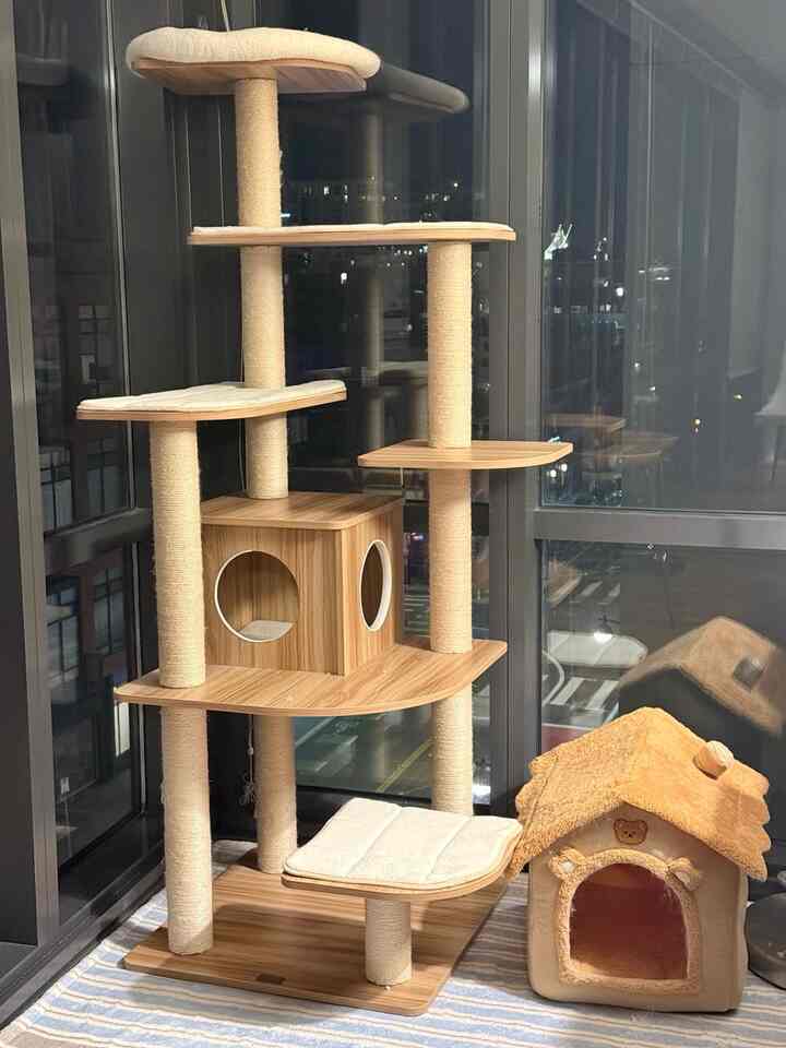 Designed for them, too.
Comfort starts from the floor up.

#homeaesthetic #neutralhome
#cozycorners #homestyling #livedinhome
#dailyritual #smallspaces #designinspo