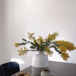 Who else has tried these trending croissants from Costco—they are seriously the best! 🥐😍
#croissant #mug #Tablestyling #diningtable #flower #vase #brunch #cozyvibe #westelm #ohousemug #coffee