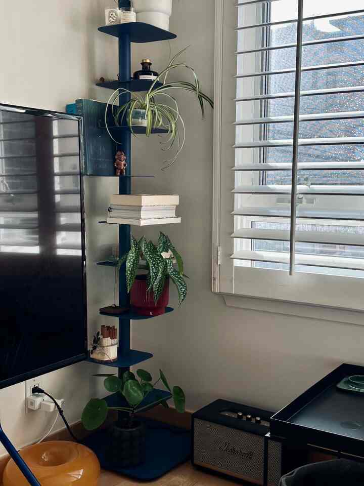 Living room corner reset 🍀
#plants #livingroomdecor #bookshelf #planters 