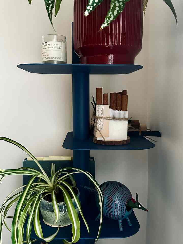 Navy blue shelf featuring plants, candles, and decorative items in a tidy living room corner