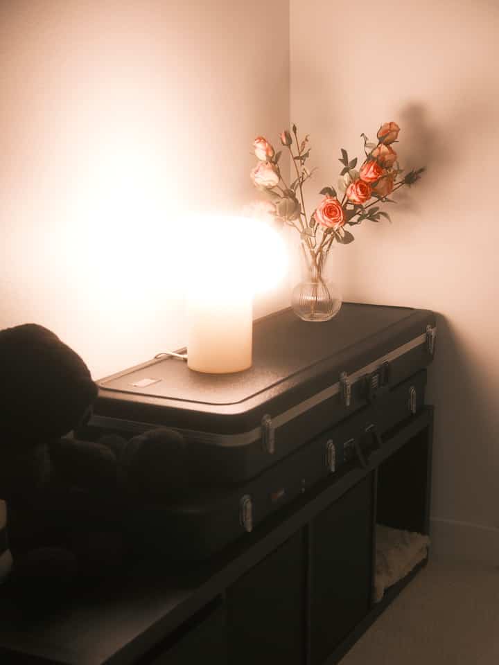Cozy corner space with black storage units, a glowing lamp, and a vase of pink roses against white walls