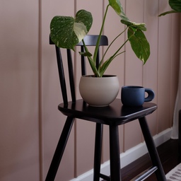 The sunniest spots in our home in the morning are definitely my bedroom and the kids’ room.
So I placed this planter on an IKEA chair for a while to let it get some sun.
The round, pebble-like planter and the mug
look so good together
and add nice depth to the space.
#bedroom #ikea #plant #plantlover #weekend #accentwall #DIYwall #benjaminmoore #cozyvibe #modernplanter #cutemug #coffeecup #homecafe #minimal