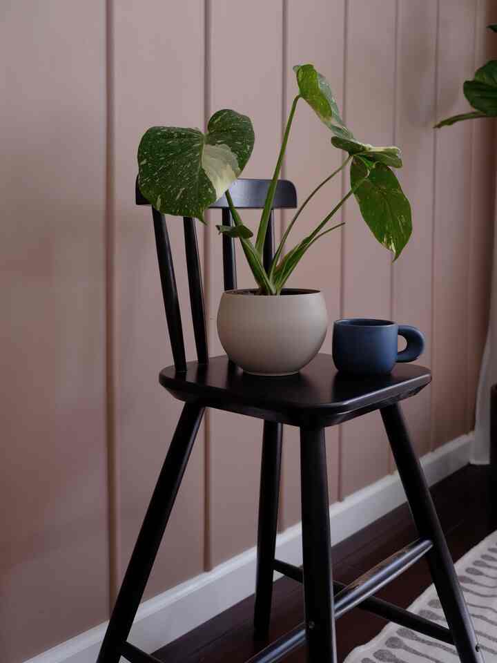 Tempat paling cerah di rumah kami di pagi hari pastinya adalah kamar tidur saya dan kamar anak-anak.

Jadi saya meletakkan pot tanaman ini di atas kursi IKEA untuk sementara agar terkena sinar matahari.

Pot tanaman bundar seperti kerikil dan cangkirnya
terlihat sangat serasi
dan menambah kedalaman yang bagus pada ruangan.

#kamar tidur #ikea #plant #plantlover #weekend #accentwall #DIYwall #benjaminmoore #cozyvibe #modernplanter #cutemug #coffeecup #homecafe #minimal