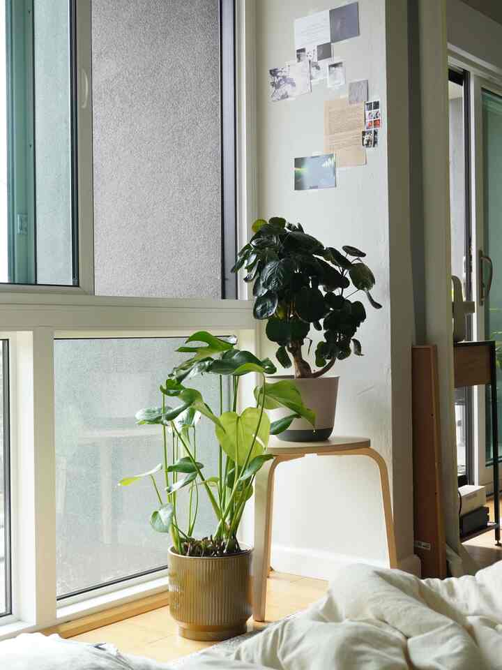 #morning #bedroom #plants #ikea