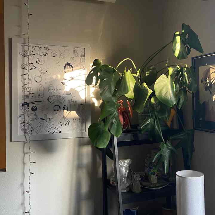 Tagged posts featuring LEDLJUS LED String Light 2