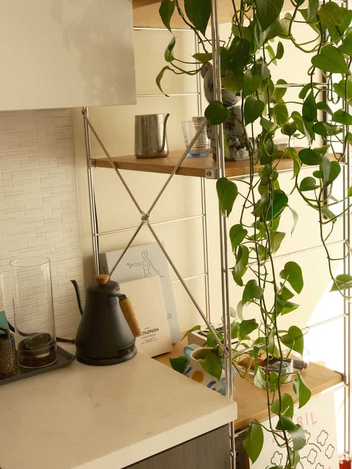 shelf + hanging plant is my favorite combo - not only making the space more organized but also adding aesthetics and freshness

#plantinterior #shelfinterior #shelfdecoration #shelfcabinet 