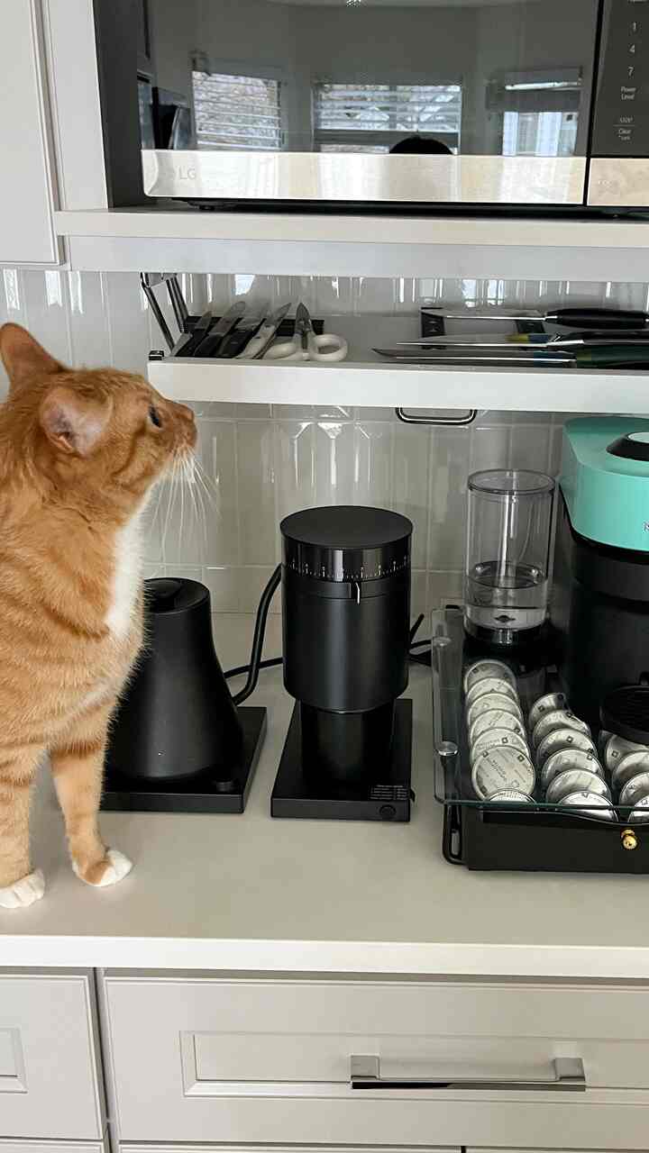 I never knew where to put the knives without cluttering the counter. This under-cabinet storage changed that. Quietly useful, and it just fits.
#organizationhack #kitchenstorage #smallspacefix #renterfriendly